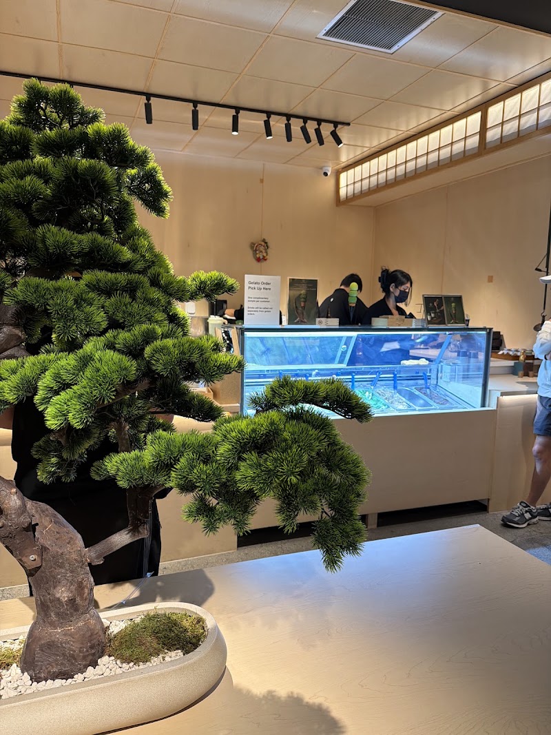 Matsu Matcha, photo 4 of 5